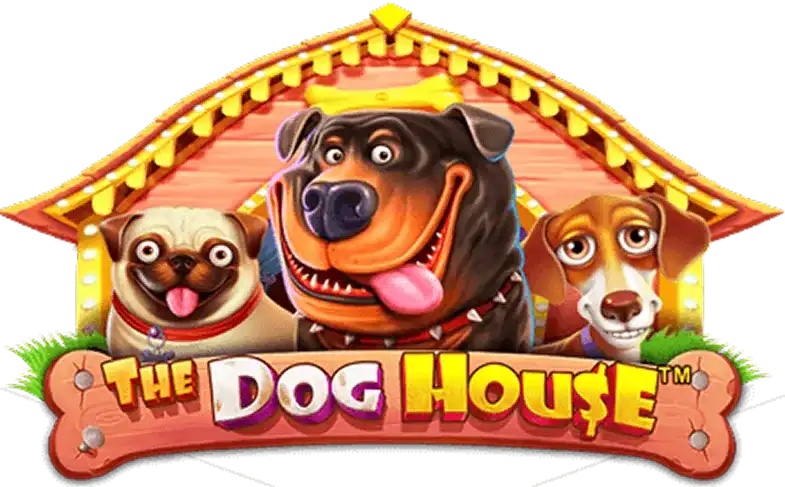 Dog House - mostbet-casino-kasyno.pl