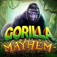 Gorilla Mayhem - mostbet-casino-kasyno.pl